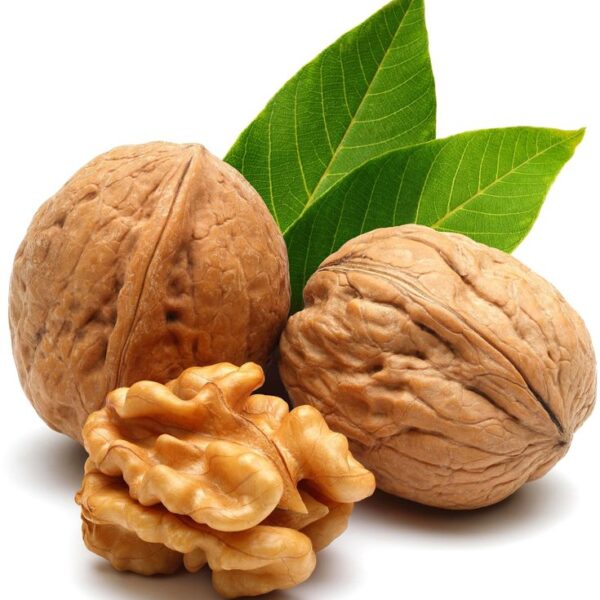 گردو یکی از مغذیترین و سالمترین انواع آجیل است که به دلیل طعم خاص و خواص فوقالعادهاش به طور گستردهای در غذاها و دسرها استفاده میشود. این مغز ترد و خوشمزه به عنوان یک منبع غنی از چربیهای سالم و مواد مغذی شناخته میشود.