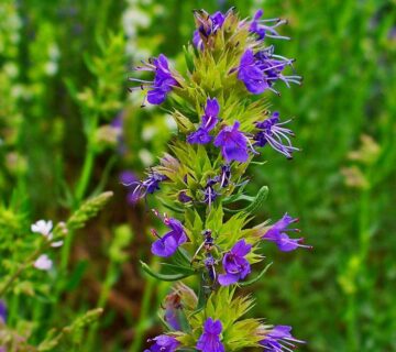 «تصویری از بسته‌بندی محصول در محیطی مدرن با نورپردازی ملایم»
