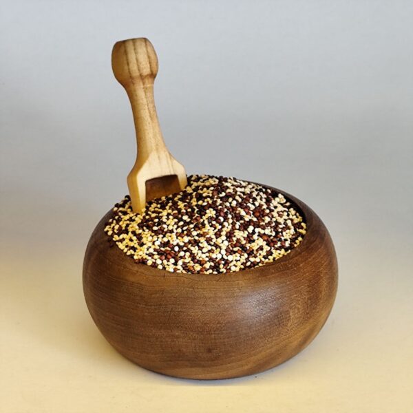 کینووا رنگی باجینه